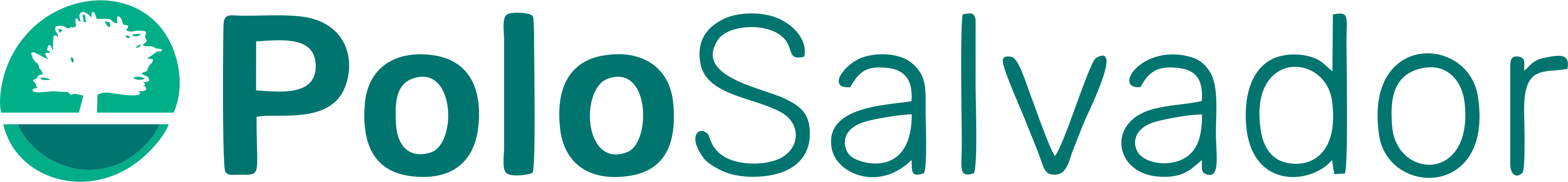 Camisas Polo Indústria, Comércio e Serviços de Confecções Ltda.